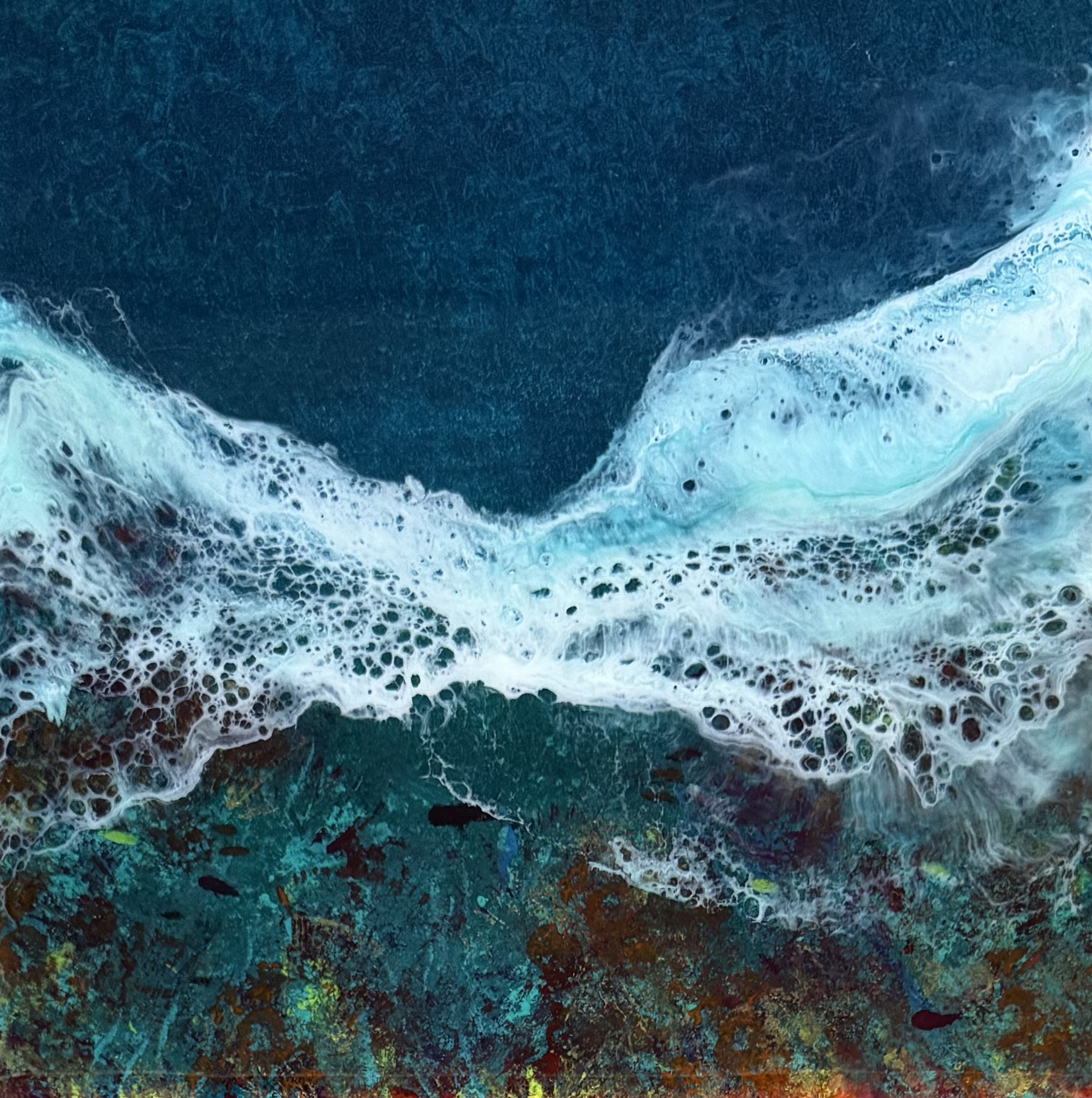 Shallow Reef II 2/3/26